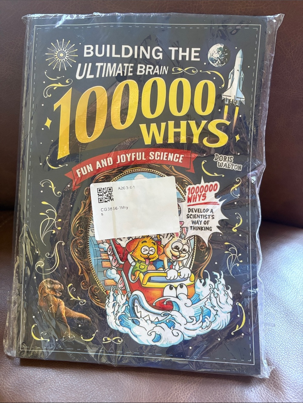 BUILDING THE ULTIMATE BRAIN 100000 WHYS FUN AND JOYFUL SCIENCE BOOK